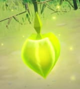 Bloom_Dendro_Core