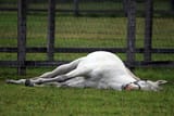 sleepship