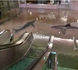 mall_hurricane