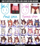 Canon futa