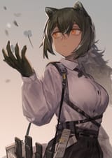 robin 96
