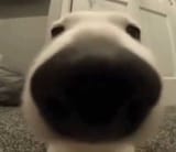 1729295807960493