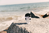 spirit_mari_3