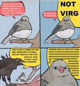 1736076556063274