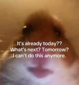 1720931969508822