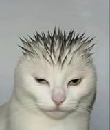 GutHkwtbsAAUTXz