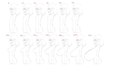 femrabusts