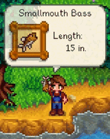 Fish_Display