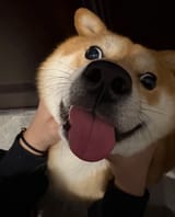 GoBnWNYXYAEWx9T