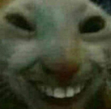1610584158660