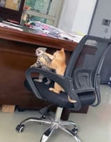1751232538340125