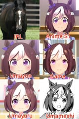 22589123