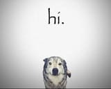 hii