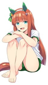 17855121205106