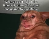 1736784684353