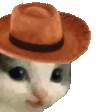meowdy
