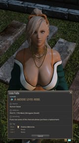 ffxiv_dx11_2025_04_09_04_01
