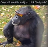 1748649186004157