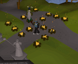 1570429770503