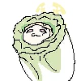 Seia cabbage
