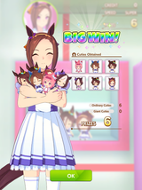 17502209513