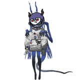 ch&#039;observer