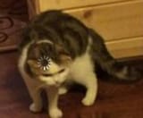 7846517345274872424