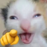 764