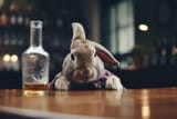 360_F_634657930_LKIneKJYmOy2Dc8f4dRvFEbhiDrudlT5