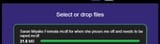 Screenshot-05-07-2025-11.54AM