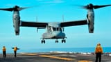 The-osprey
