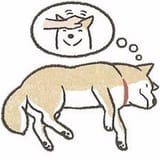 thinking pet