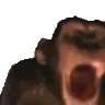 monke