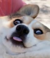 1433227112308