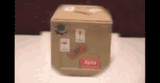 box-shaking