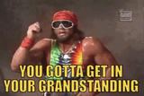 randy-savage-374-x-250-gif-zc7nz3f62ubv98jn