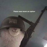 peace was never an option