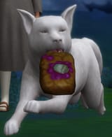 he&#039;s ugly i love him