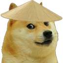 dogeshi