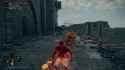 elden ring flick_thumb.jpg