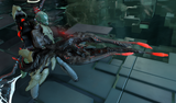 warfarm nova bubonico