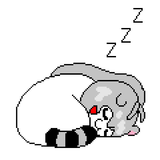zzz