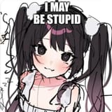 maybestupid