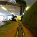 train sniff_thumb.jpg