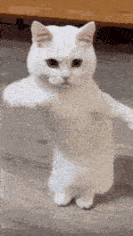 1727580311329525