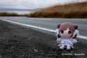 chocomochi_road_v1_thumb.jpg