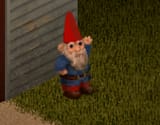 gnome
