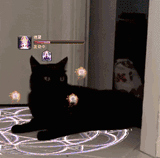 rescue the black mage