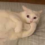 6779883