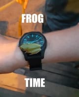 1728470825389180